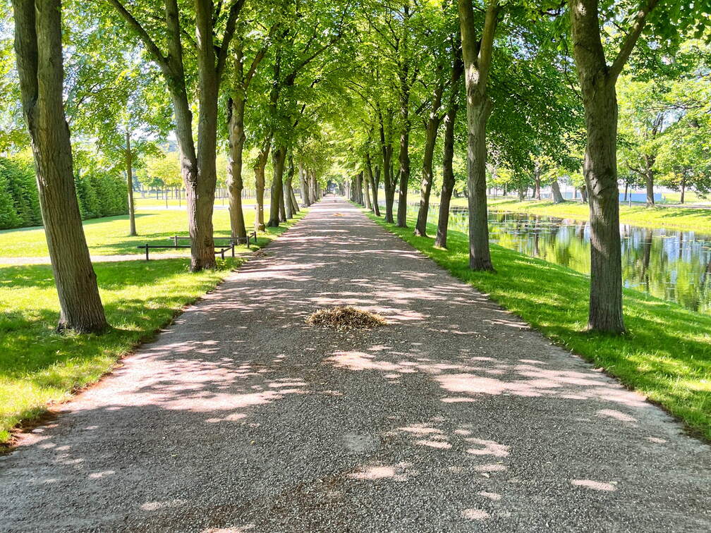 24-06-26 10-43-07 9918